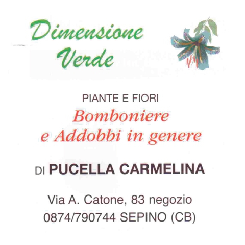 Sponsor